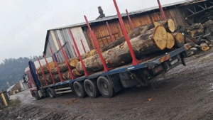 Caut șofer CE pentru  ansamblu  forestier  - imagine 3