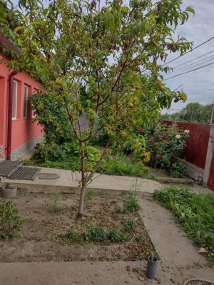Casa Pufesti, Vrancea - imagine 2