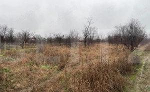 Proprietate de vânzare în Sânpaul – casă + teren mare - imagine 4