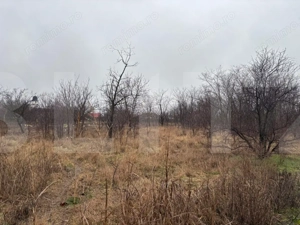 Proprietate de vânzare în Sânpaul – casă + teren mare - imagine 3