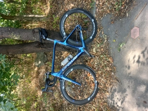 Cursiera Cipollini  - imagine 2