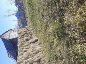 vând baloti de lucerna si omăruntă  - imagine 3