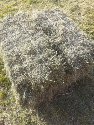 vând baloti de lucerna si omăruntă  - imagine 4