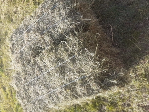 vând baloti de lucerna si omăruntă  - imagine 5