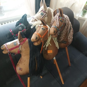 hobby horse