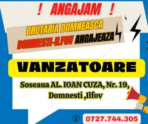 Anagajam Vanzatoare DOMNESTI Ilfov 