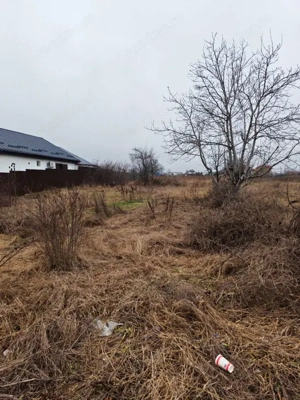 Teren pentru investitii in Izvoare - imagine 3