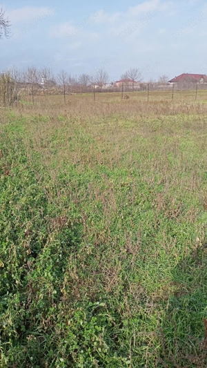 Teren intravilan 2000mp - imagine 3