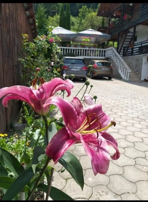 Pensiune langa lac si Casa Baraj !!! - imagine 6