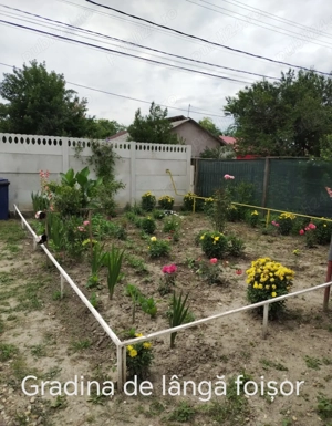 Vilă de vânzare  - imagine 5