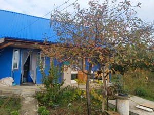 Casa la curte  jud. Giurgiu Mirau  - imagine 7
