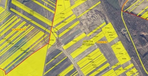 Terenuri agricole Dangeni   Vlasinesti judetul Botosani - imagine 2