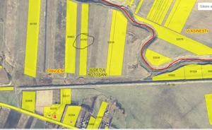 Terenuri agricole Dangeni   Vlasinesti judetul Botosani - imagine 6