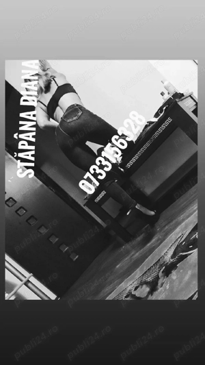 Diana & Stăpâna Diana & întâlniri & show web 