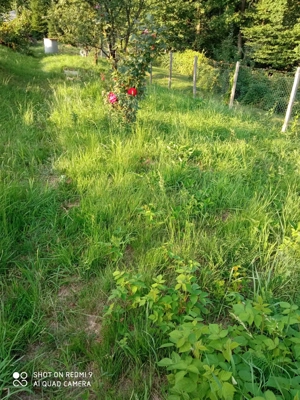 Vand Teren Intravilan Cisnadioara