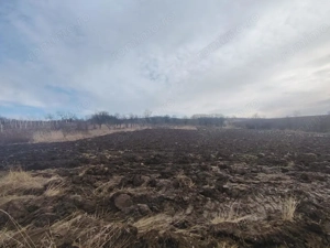 Casa de vanzare in Iteu Nou - imagine 5