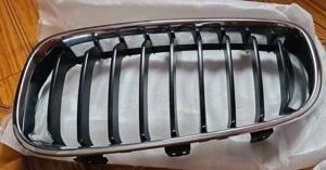 Grile BMW F34 - 2019 - Rinichi - imagine 2