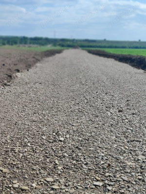 Teren intravilan Dumbrava Roșie 