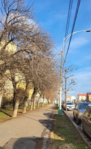 Apartament 3 camere Decomandat  - imagine 8