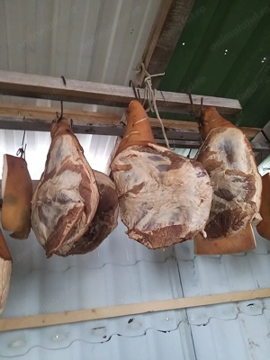 Soanca de porc de casa  - imagine 2