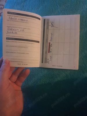 Bishon Alb-Gri - imagine 3