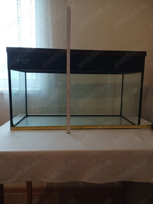 acvariu premium Cleo Prest aquariums
