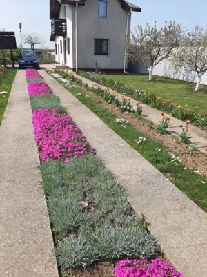 Casă + teren de vânzare  - imagine 4