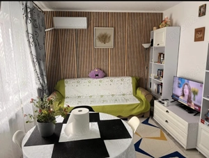 Ap 2 camere +boxa Canta Pacurari - imagine 2