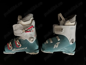 Vânzare clăpari Nordica