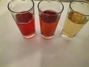 Vinuri 100% din struguri 