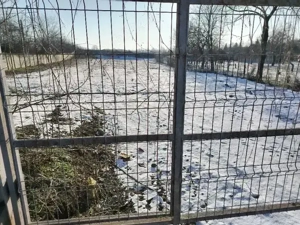 vând teren intravilan 