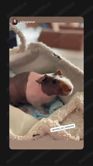 petreceri private - imagine 3