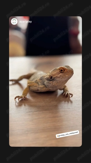 petreceri private - imagine 2