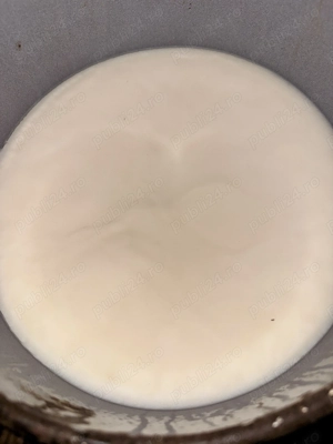 Jumări și untură de porc proaspete !