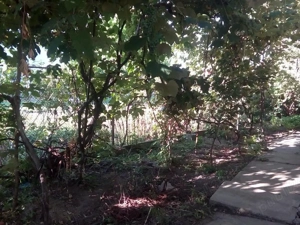 Proprietar --- Casă de vânzare   zonă centrală Făgăraș | Teren 500 mp - imagine 6