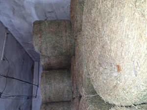 Vând baloti lucernă calitate  - imagine 4