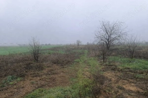 Teren Intravilan, 2000 mp, 20 min de Bucuresti, mai putin de 9 euro mp