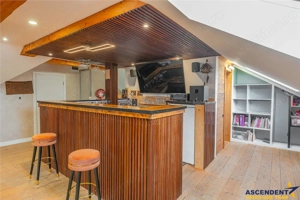 FILM  3D! Vila high tech, cu semineu, jacuzzi, terasa, 10 camere, Central, Brasov - imagine 15