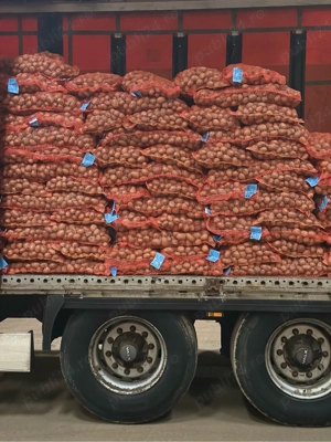 Cartofi de samanta certificata - imagine 3