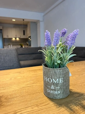 Apartamente in regim hotelier Suceava  - imagine 5