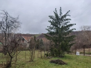 Teren intravilan  zona GH DOJA   - DEALURI