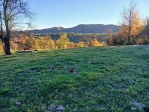 Proprietar vand teren 4300mp Bradulet Arges - imagine 3