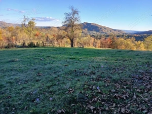 Proprietar vand teren 4300mp Bradulet Arges