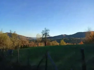 Proprietar vand teren 4300mp Bradulet Arges - imagine 2