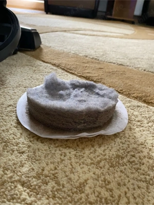 aspir si spal covoare la domiciliu  - imagine 2