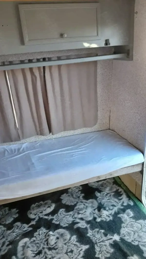 Rulota meinmatriculata