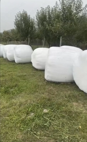 Vând baloți de lucernă și otava  infoliati  - imagine 2