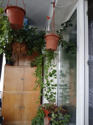 Vând apartament 2 camere Târnăveni  - imagine 5