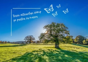 Teren in 23 AUGUST- 600 mp- pe partea cu mare