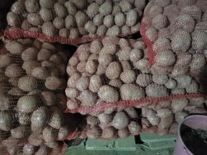 Cartofi de consum si de Sămănță